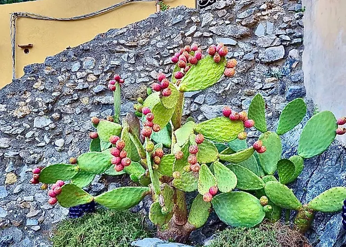 Marilu Vacation In * Positano