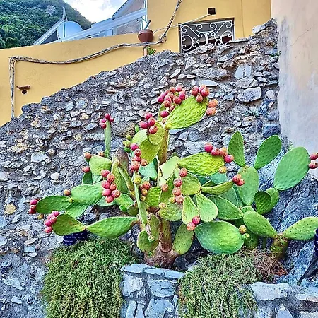 Marilu Vacation In * Positano